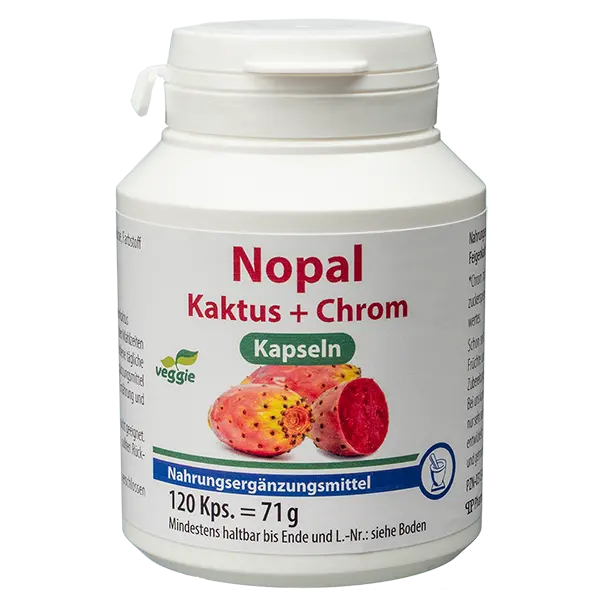 Nopal Kaktus + Chrom