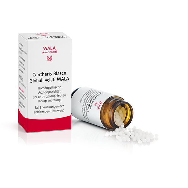 Cantharis Blasen Globuli velati WALA